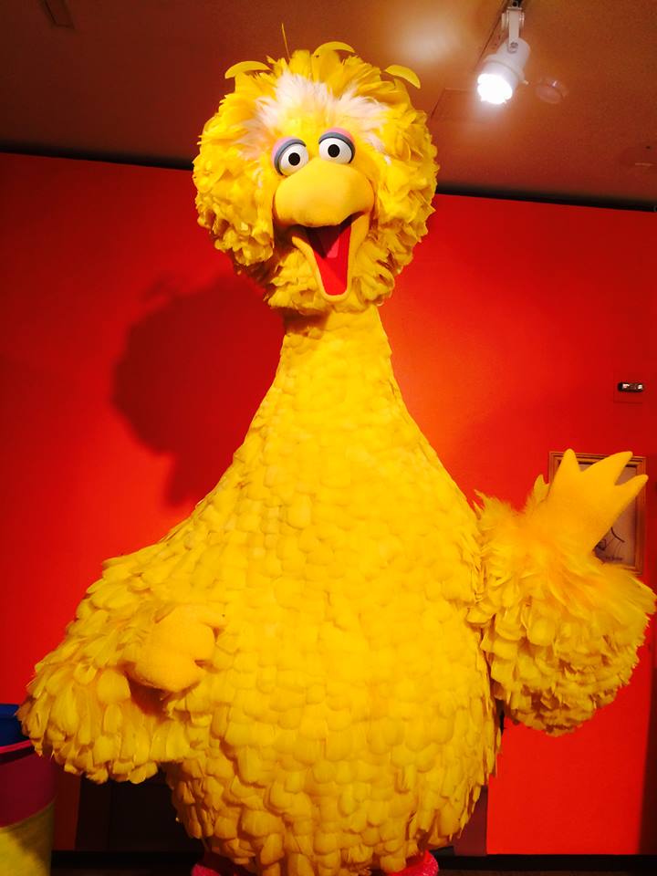 big bird
