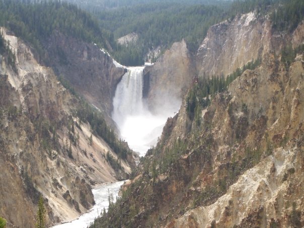 grand canyon of yellowstone