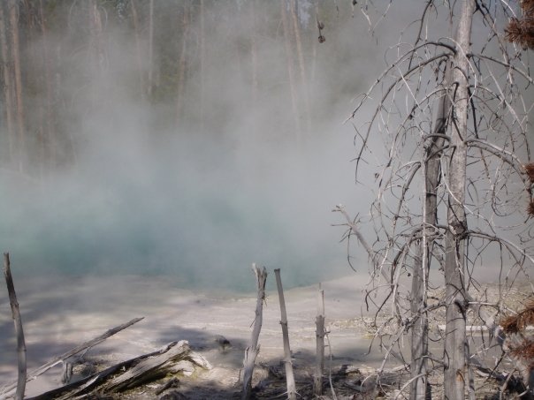 steaming pool