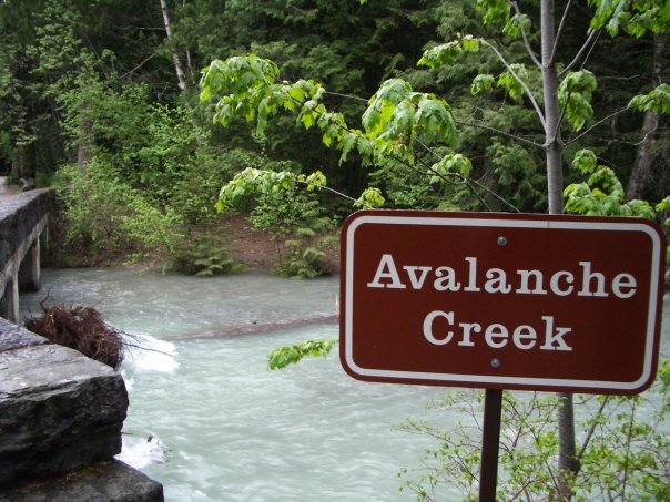 avalanche creek2
