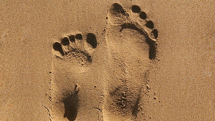 201305-orig-footprints-949x534