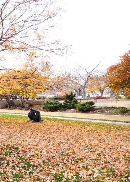 384694_10150482990191241_9307531_n (2)