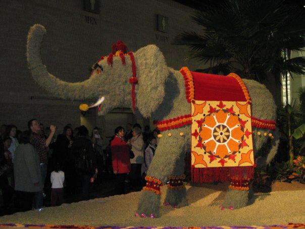 elephant