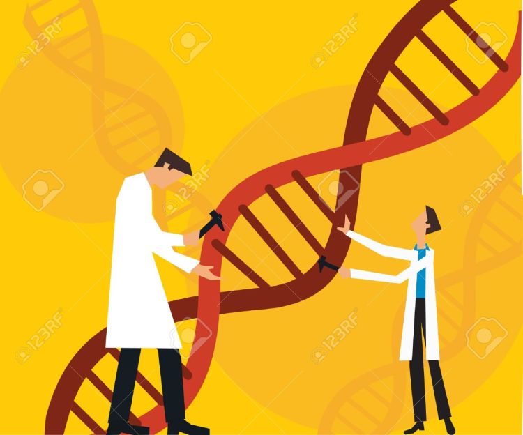 9688663-Two-scientists-fixing-dna-Stock-Photo-dna-science-cartoon